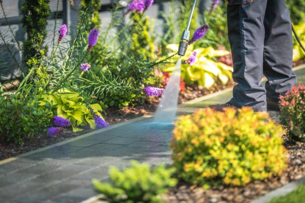 Best Parking Lot and Garage Cleaning  in Rochelle, GA